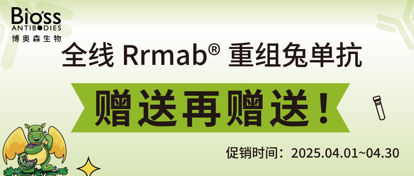 標簽抗體