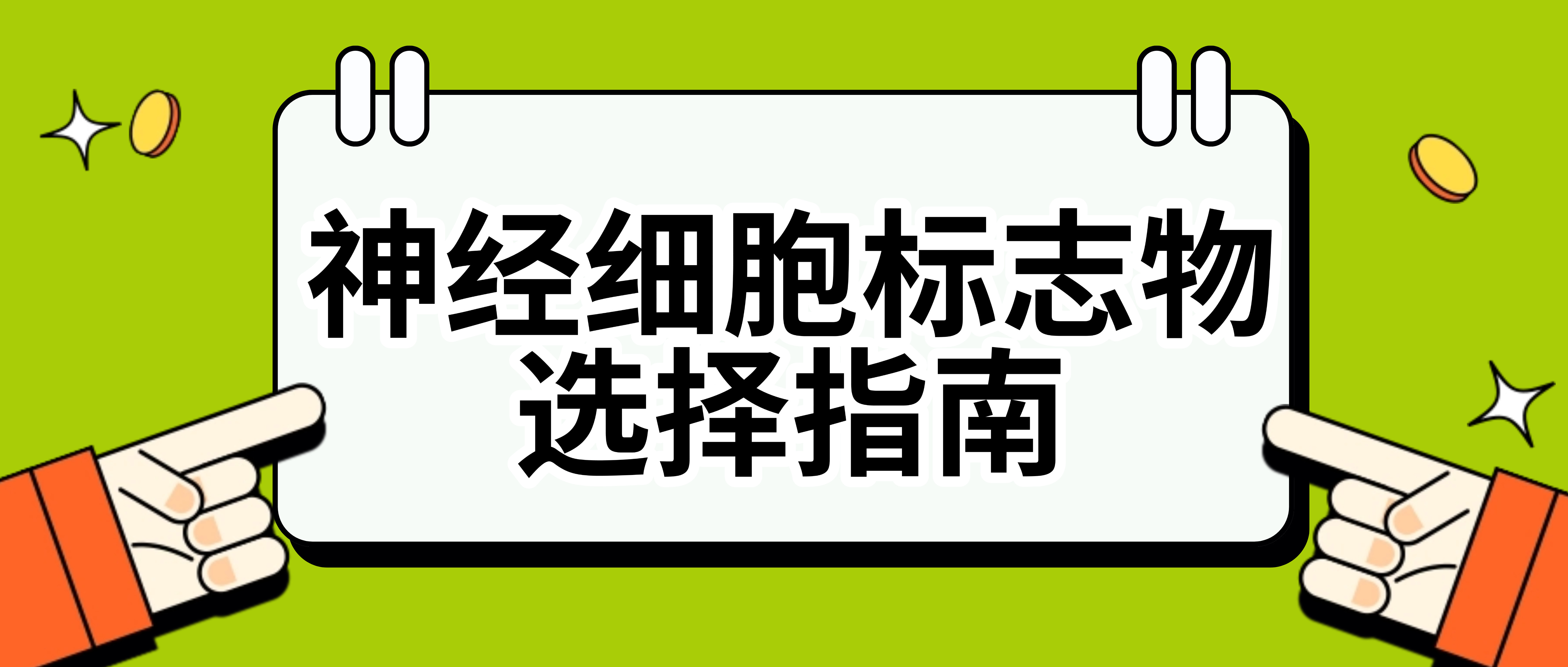 修飾抗體